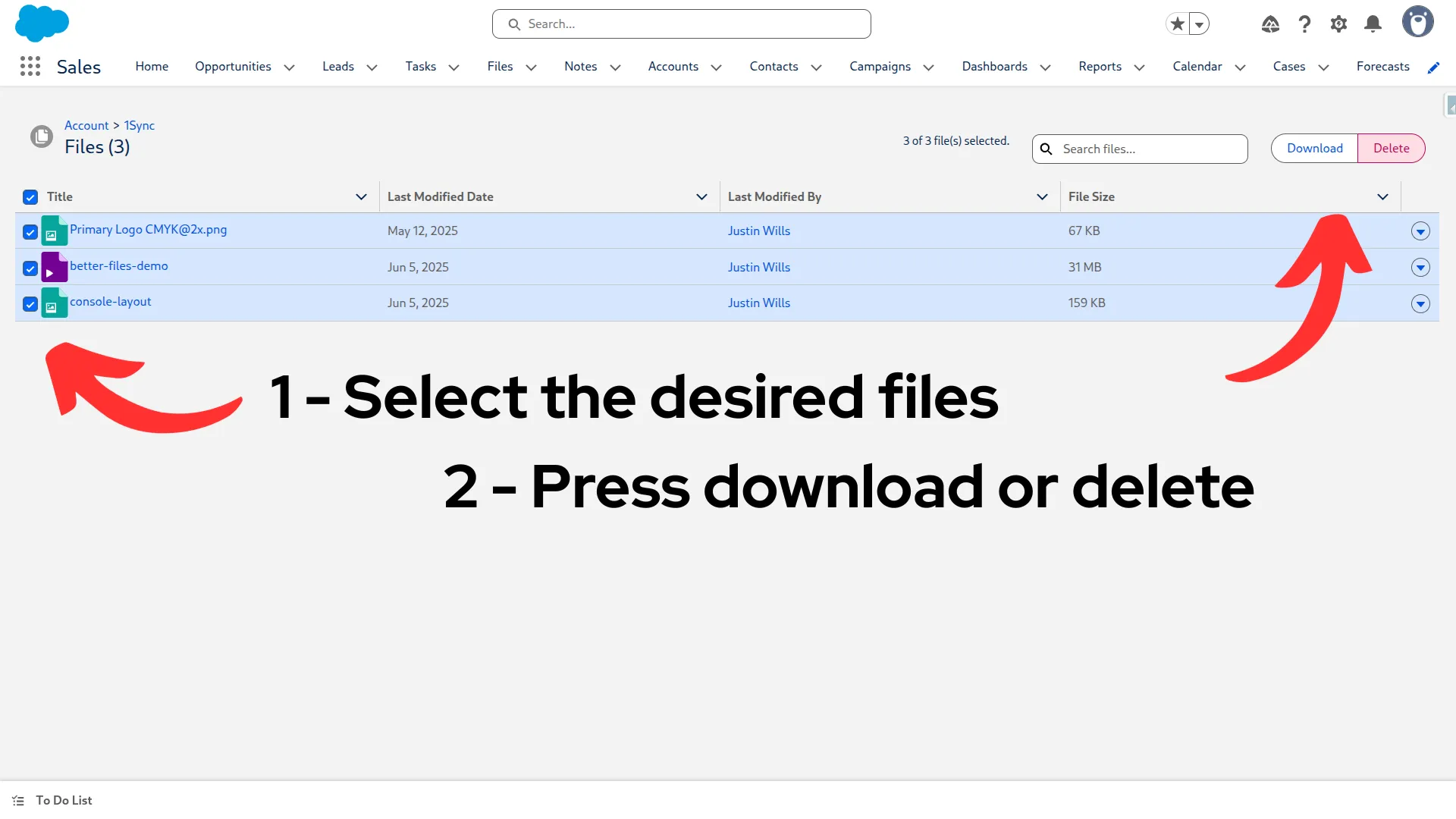Mass Delete Files